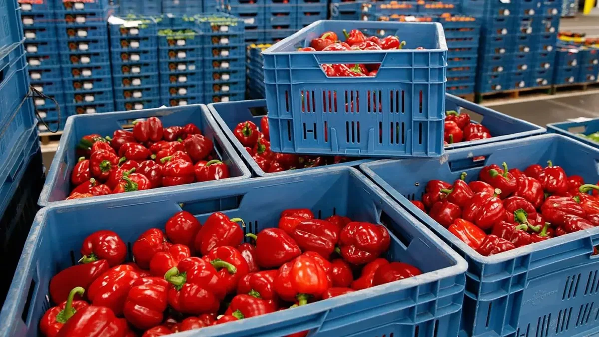 Armenia imposes import limits on Iranian agricultural products