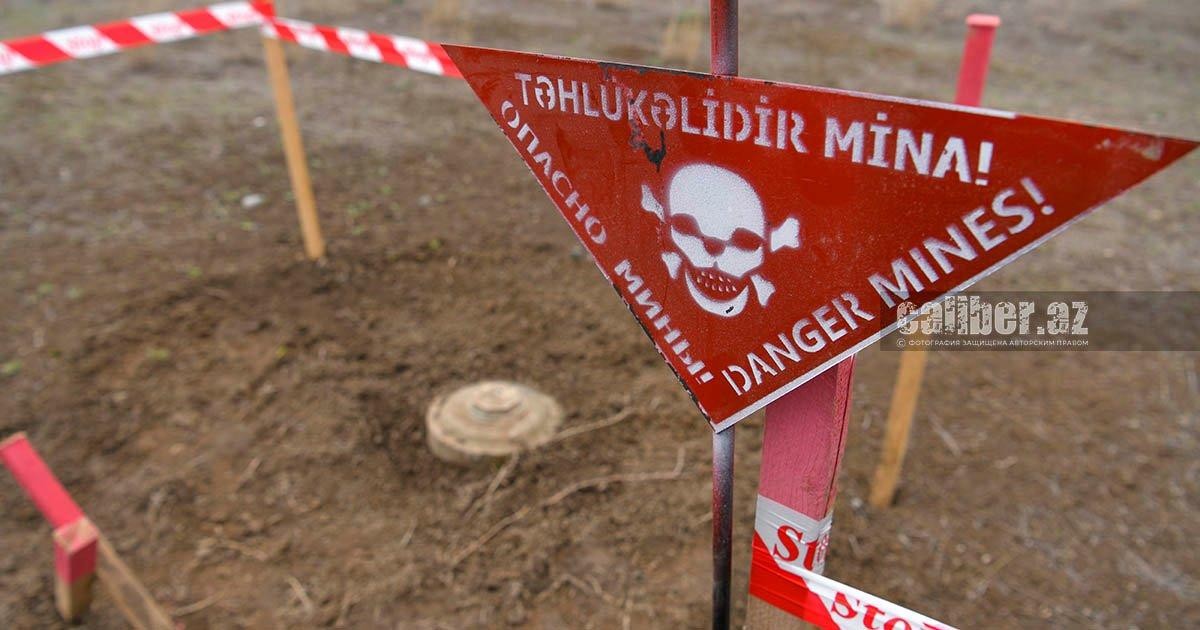 BAMF: Минная угроза — одна из самых острых проблем Азербайджана