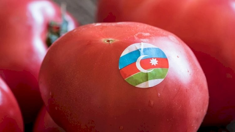 Moskva ilə Bakının arası pozularsa, kim daha çox itirəcək? -