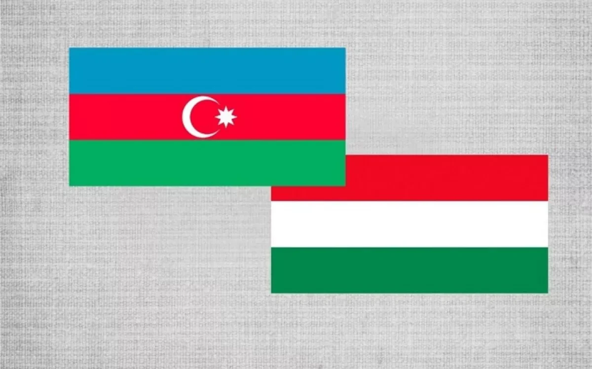 Бабаев и Торман обсудили азербайджано-венгерские связи