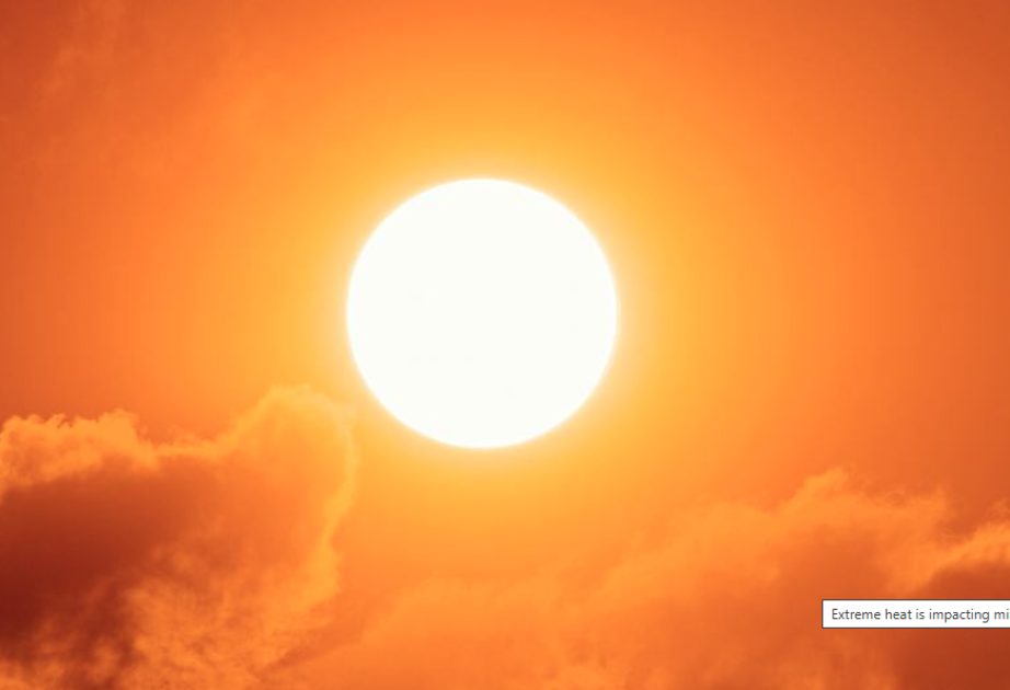 Extreme heat is breaking records worldwide: UN weather agency