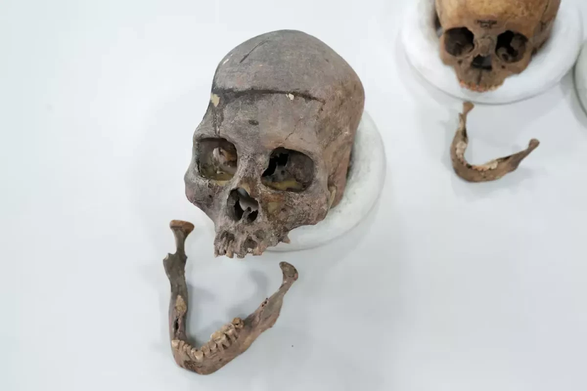 Colombian scientists identify previously unknown ancient human lineage