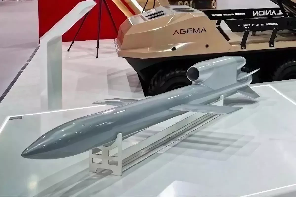 Ukraine to begin mass production of Flamingo missiles in early 2026