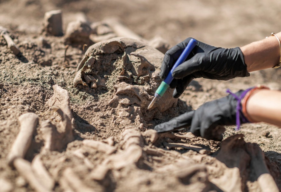 DNA sequencing of ancient remains by Colombian scientists reveals unknown human lineage