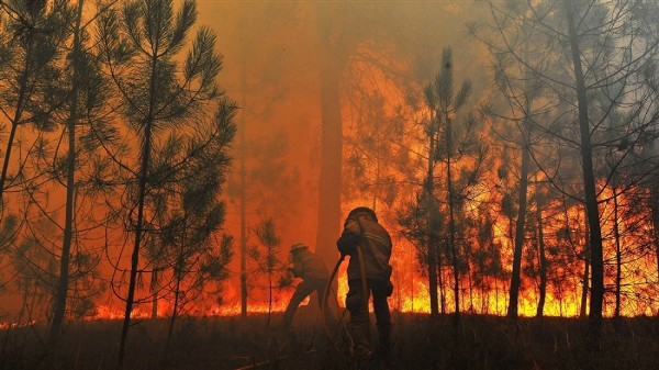 Thousands evacuated as wildfires scorch Greece