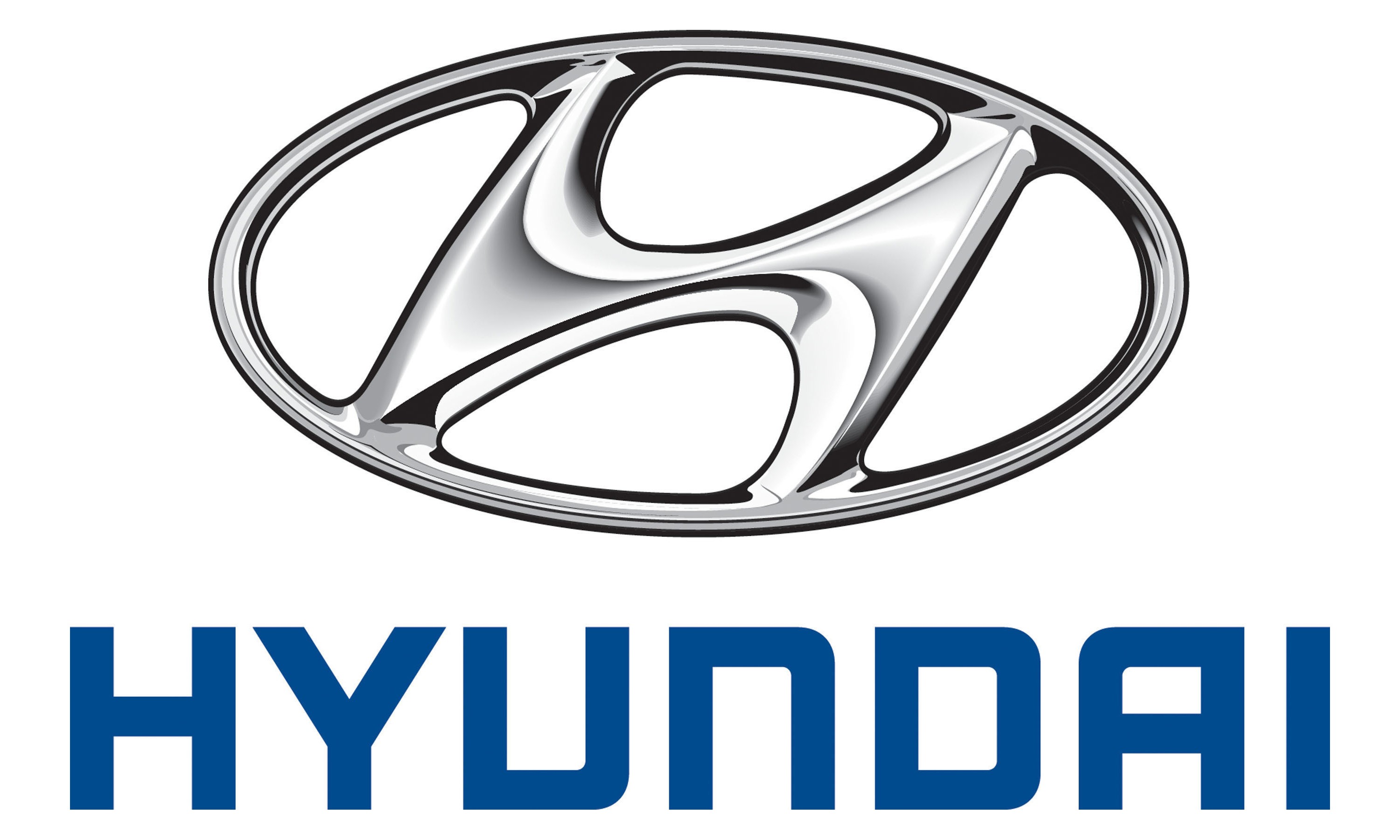 US detains up to 450 ‘unlawful aliens’ at Hyundai Motors