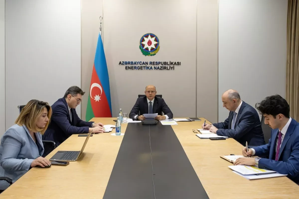 Minister: Azerbaijan pushes renewable energy integration across OEC region