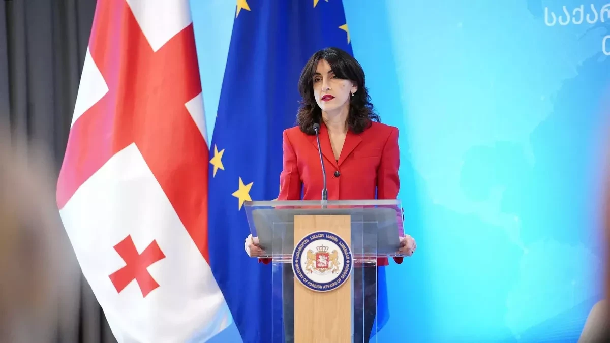 Georgia calls for mutual respect in EU partnership