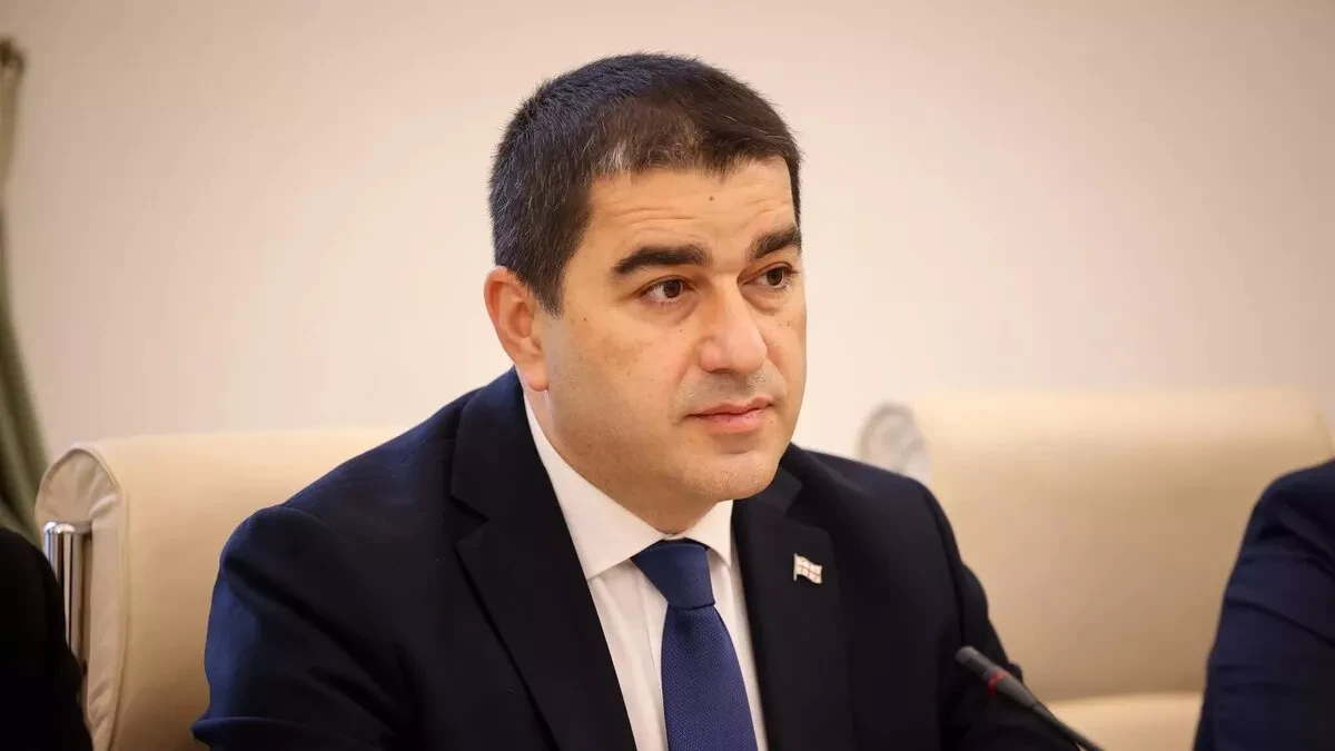 Georgian speaker says opposition facing consequences of "radicalisation"