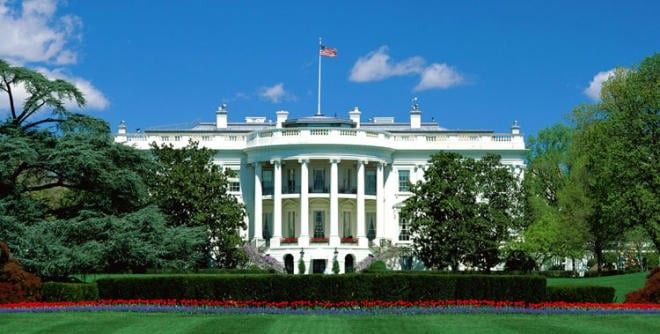 Man detained after crashing car outside White House