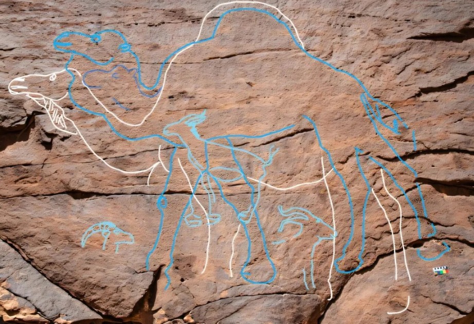 Life-size rock art points the way to oldest human inhabitants of Saudi Arabia — and the desert oases they used
