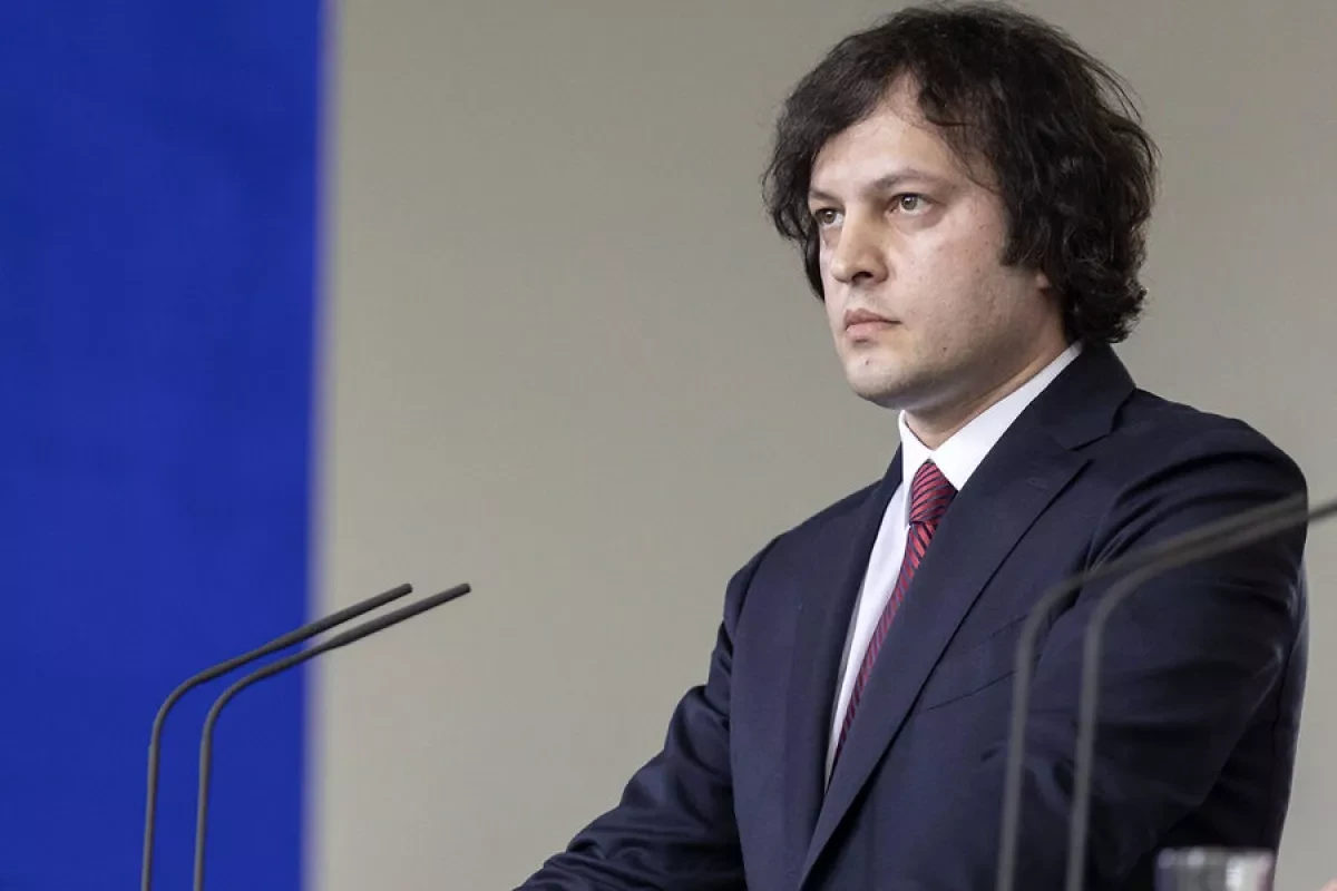 Georgian PM accuses Finland’s FM of supporting anti-gov't protests