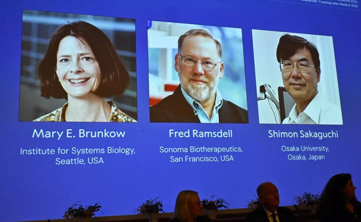 Trio wins Nobel Prize in medicine 2025 for immune system research