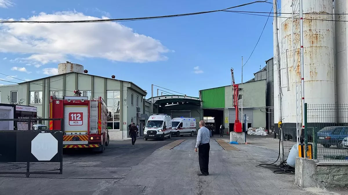 Explosion at oil factory in Türkiye’s organised industrial zone injures ten PHOTO