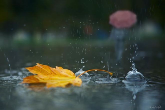 Weather forecast for November 29