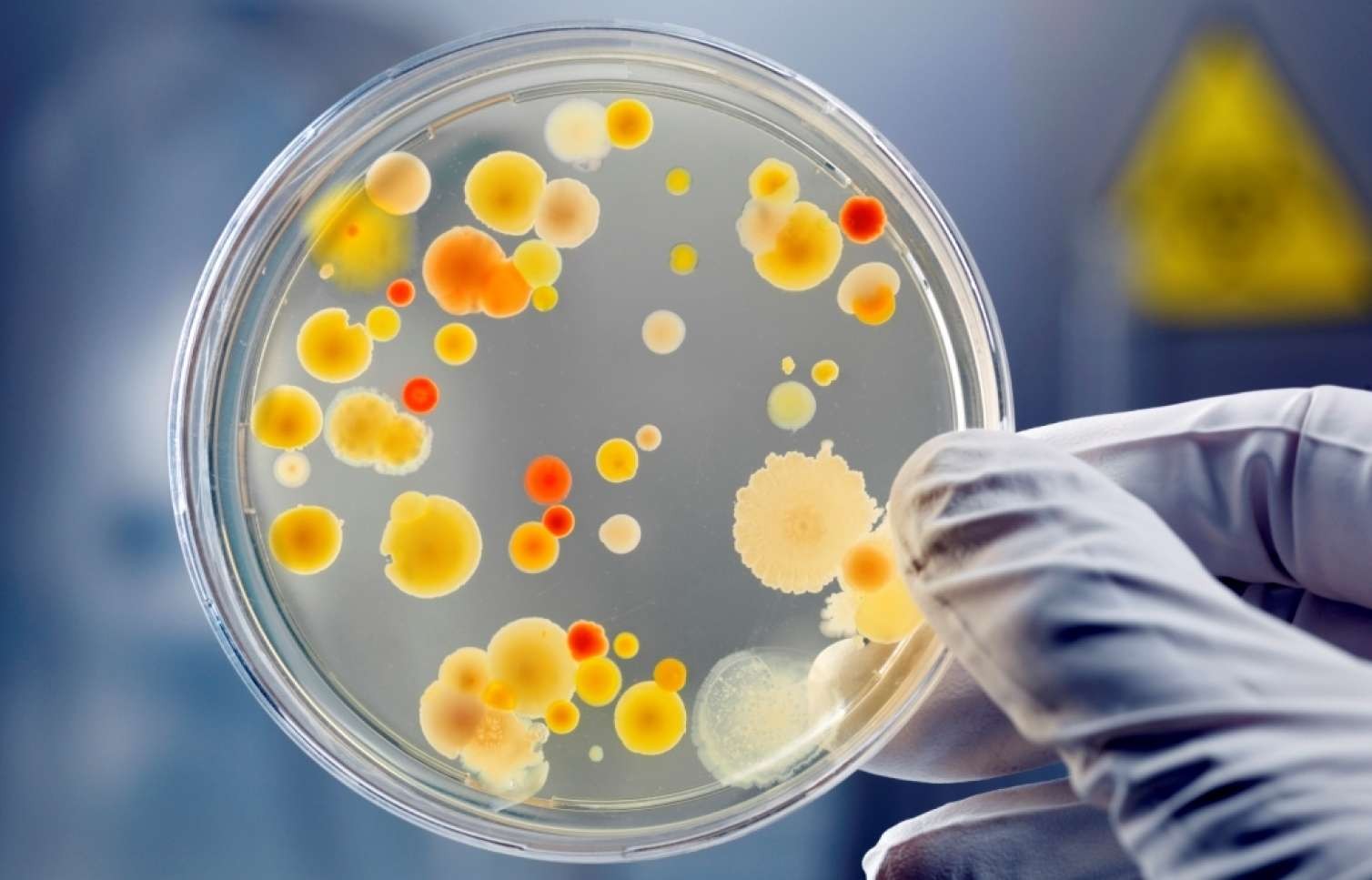 ABŞ-də süni intellekt insanlar üçün yeni ölümcül virus yaratdı
