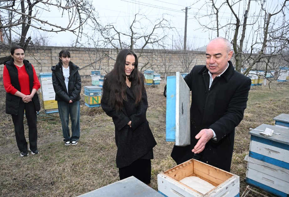 Leyla Aliyeva visits beekeeper’s family in Guba
