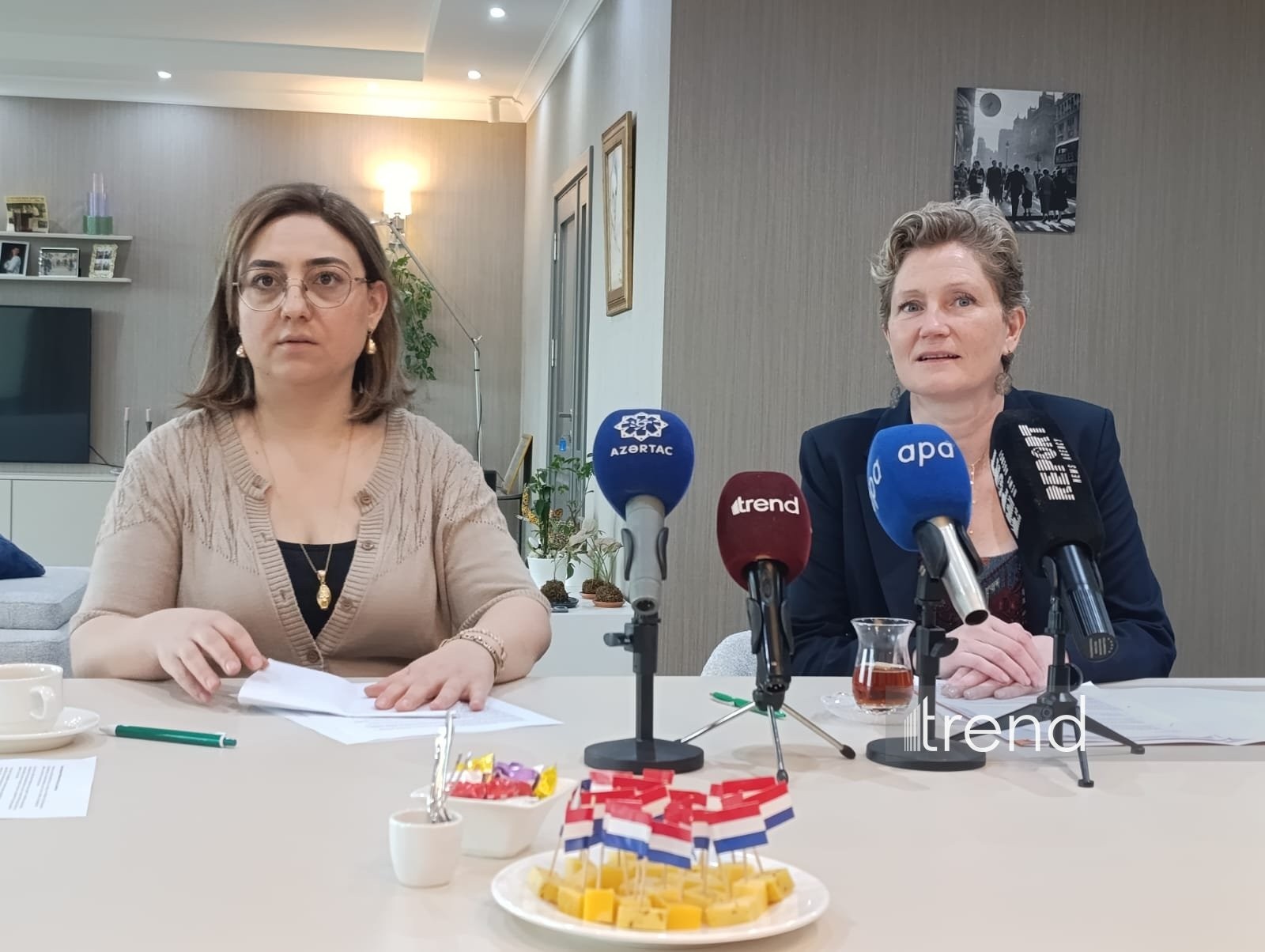Netherlands sees strong potential for water sector co-op with Azerbaijan - ambassador