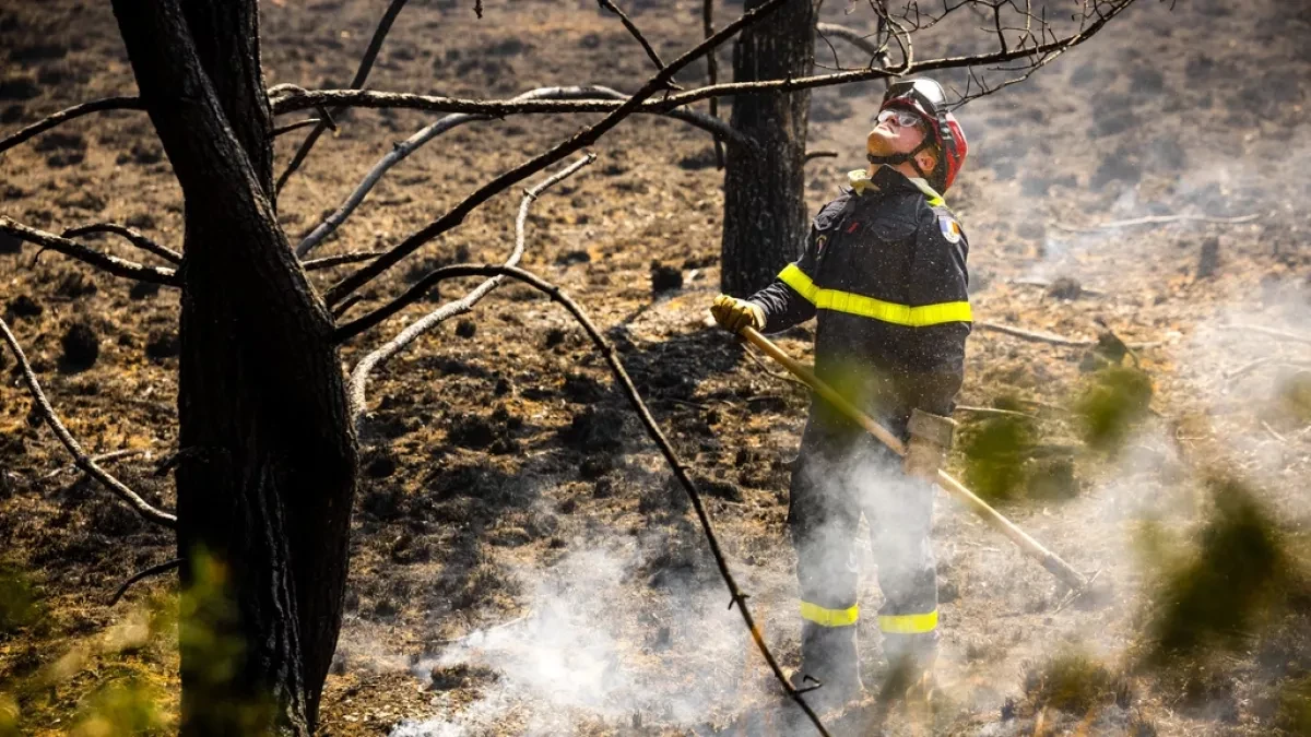 Dutch army halts live-fire training as wildfire risk surges
