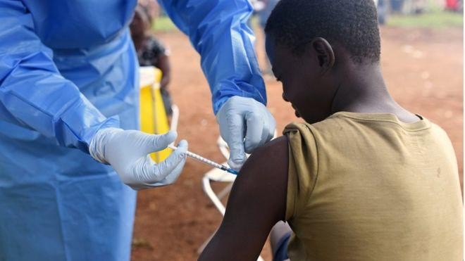 Ebola outbreak kills 80 in eastern DR Congo