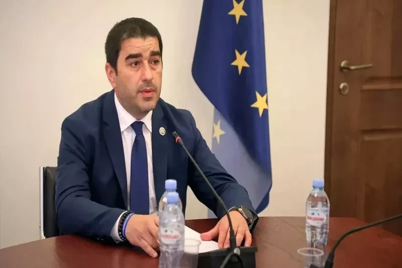 Спикер парламента Грузии обвинил ЕС в отсутствии реакции на аресты оппозиционеров в Армении
