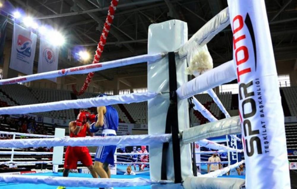 Azerbaijan wins five golds at U-17 boxing tournament