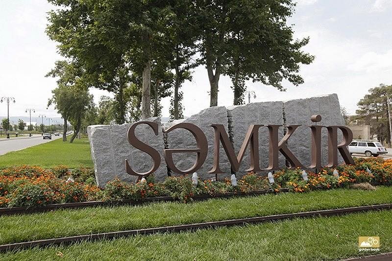Şəmkirdə 12 yaşlı bacısını bıçaqlayan qızın
