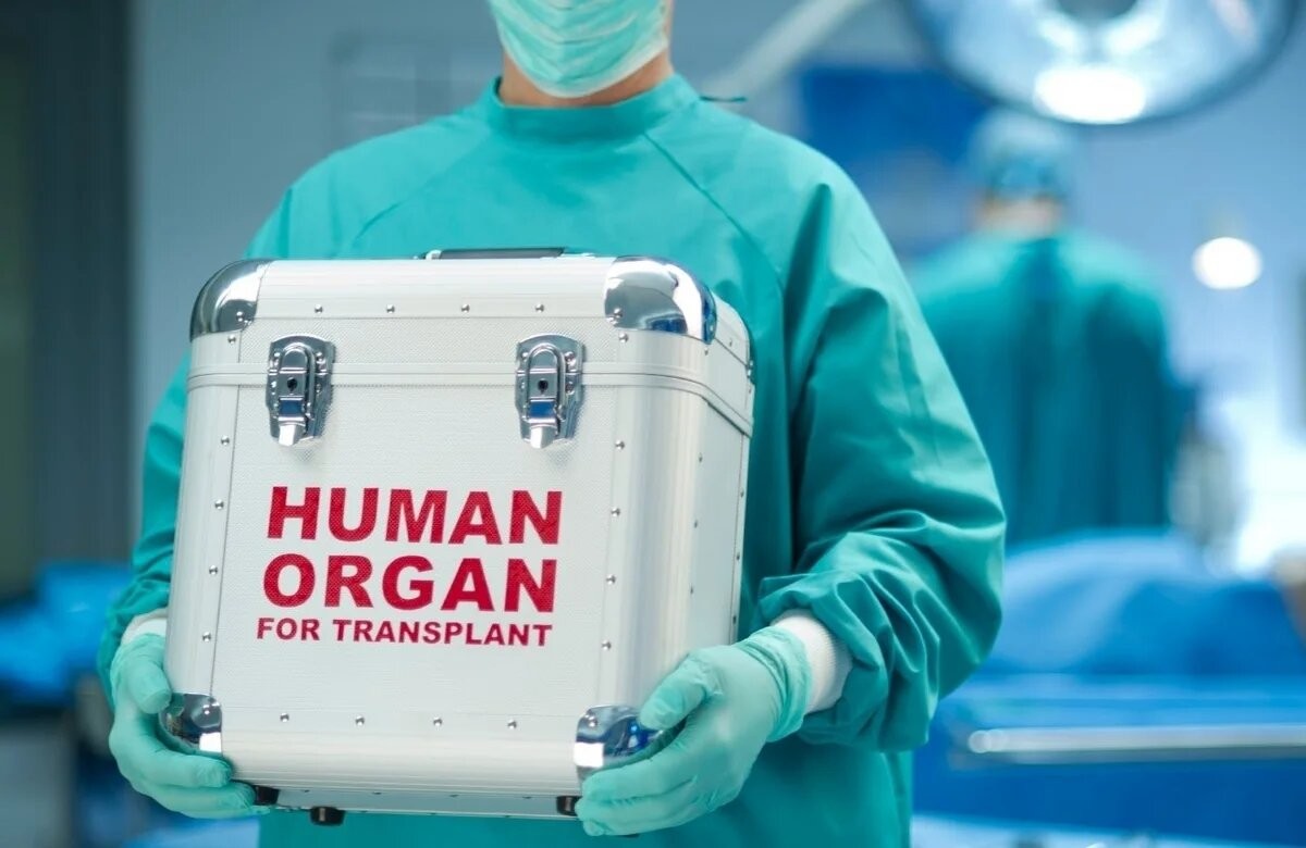 Azərbaycanda bu qədər şəxs orqan donorluğu üçün növbə gözləyir -