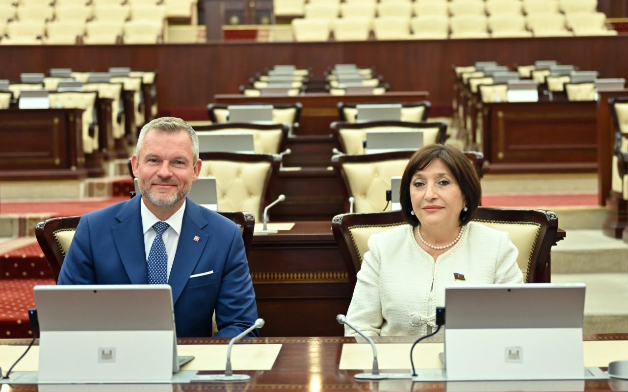 Sahibə Qafarova Pelleqrini ilə görüşüb -