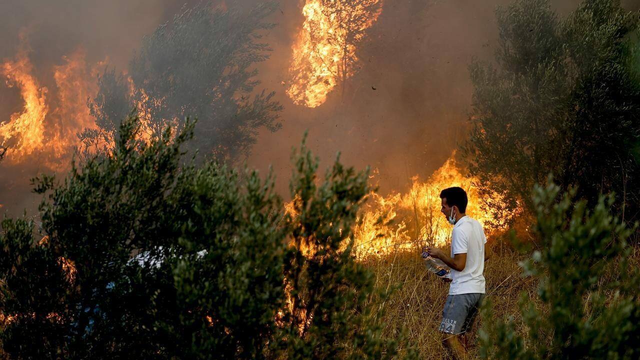 Turkiye arrests six in probe into 44 forest fires