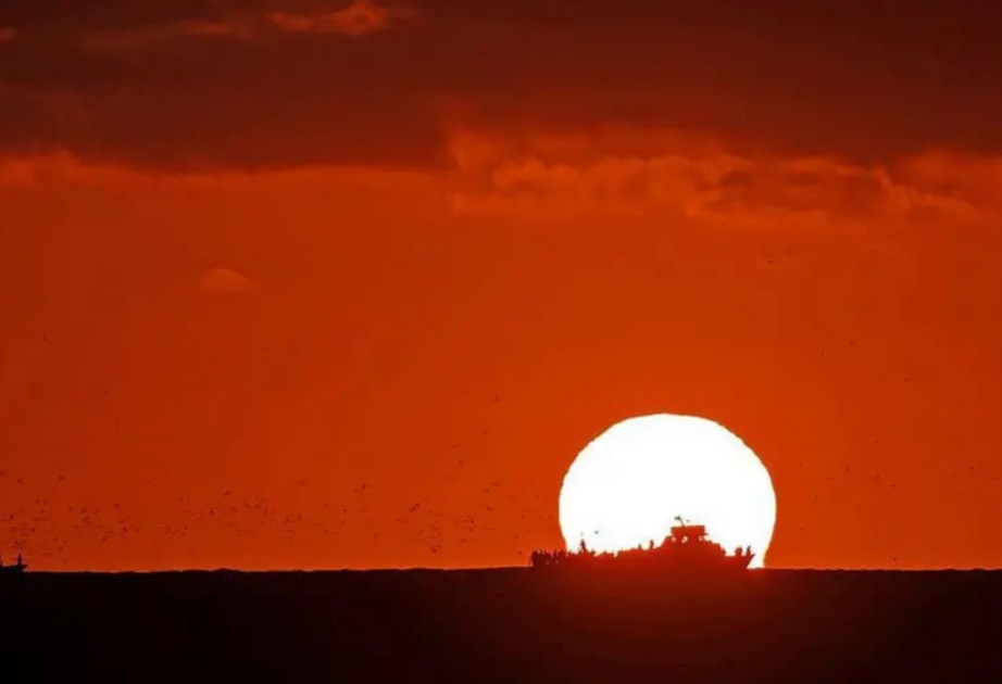 World's oceans hit highest temperature on record as El Niño grows