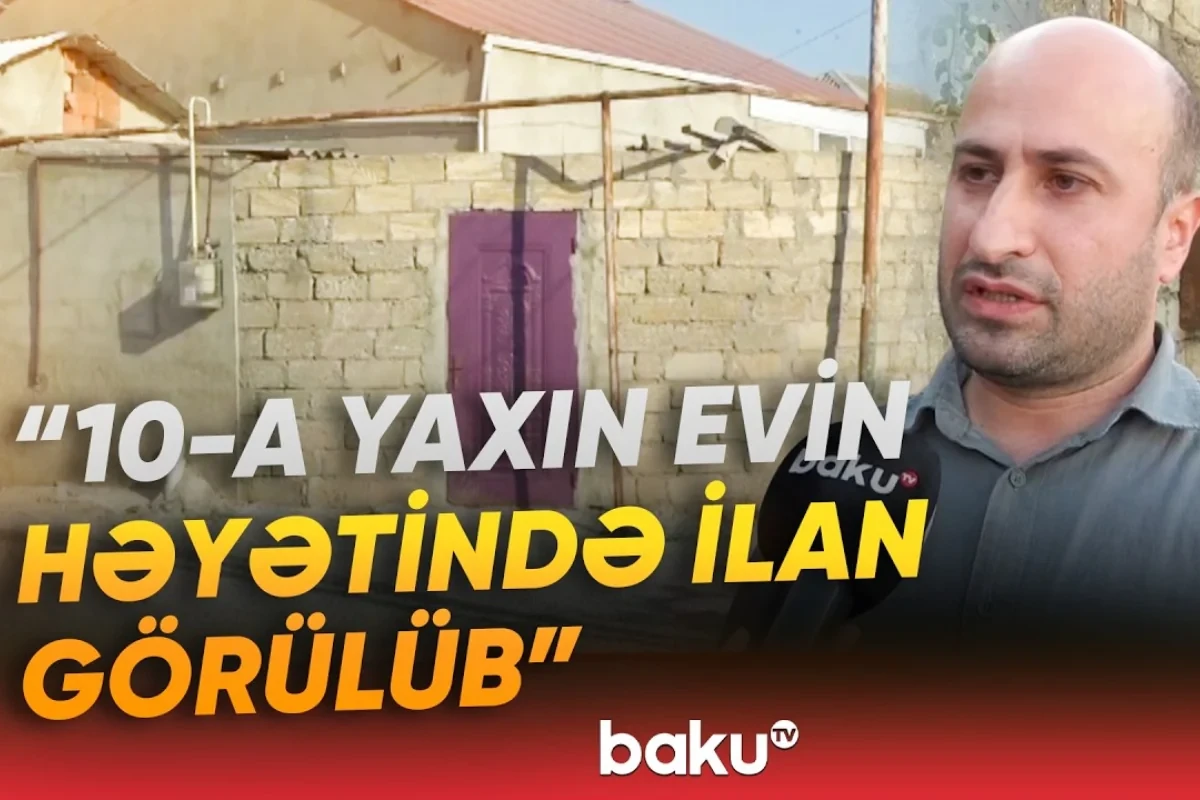 Həyətlərini qurbağalardan sonra ilanlar basan sakinlər təşvişdə - VİDEO