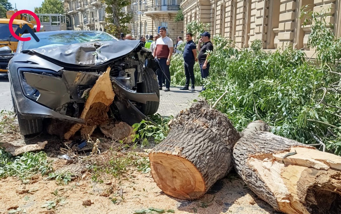 Bakının mərkəzində sükanı bloklanan maşın ağaca çırpıldı - Fotolar