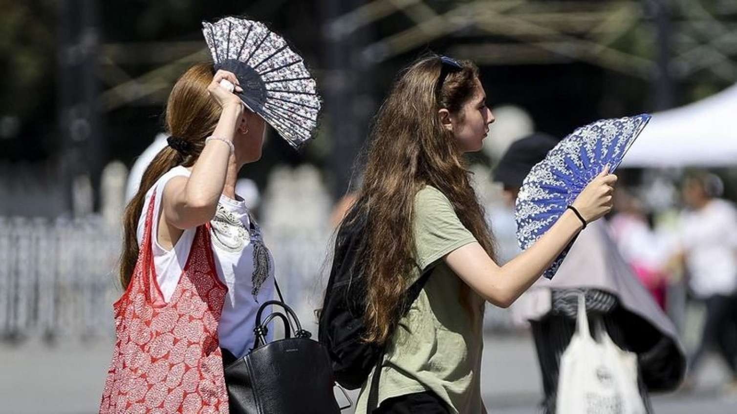 İspaniyada anomal istilər: Rekord sayda ölüm halı qeydə alındı