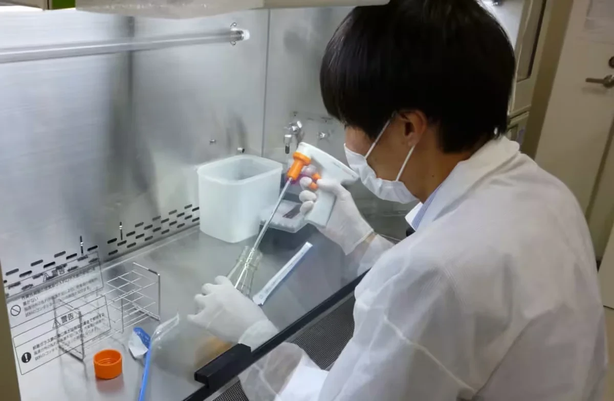 Yaponiya qida borusu xərçənginə qarşı dünyada ilk virus preparatını təqdim edib
