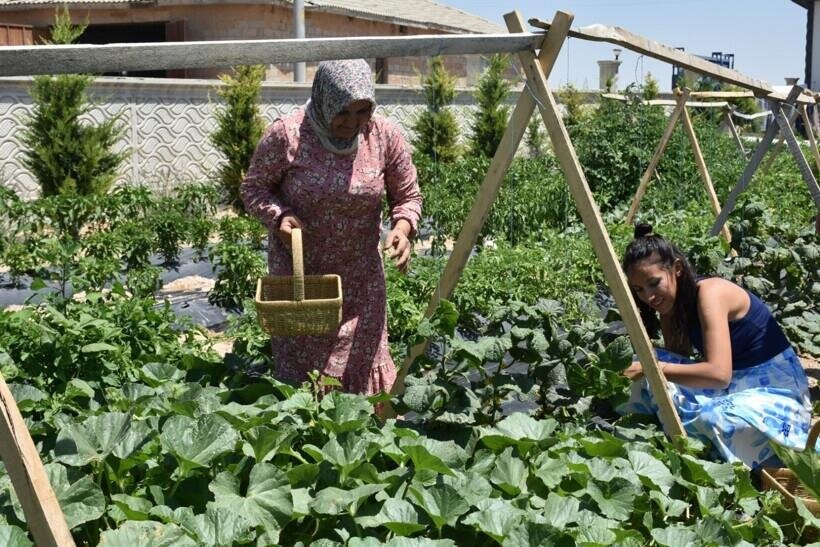 Bu oteldə qalanlar pul ödəmir, bağ işlərinə kömək edirlər - Foto