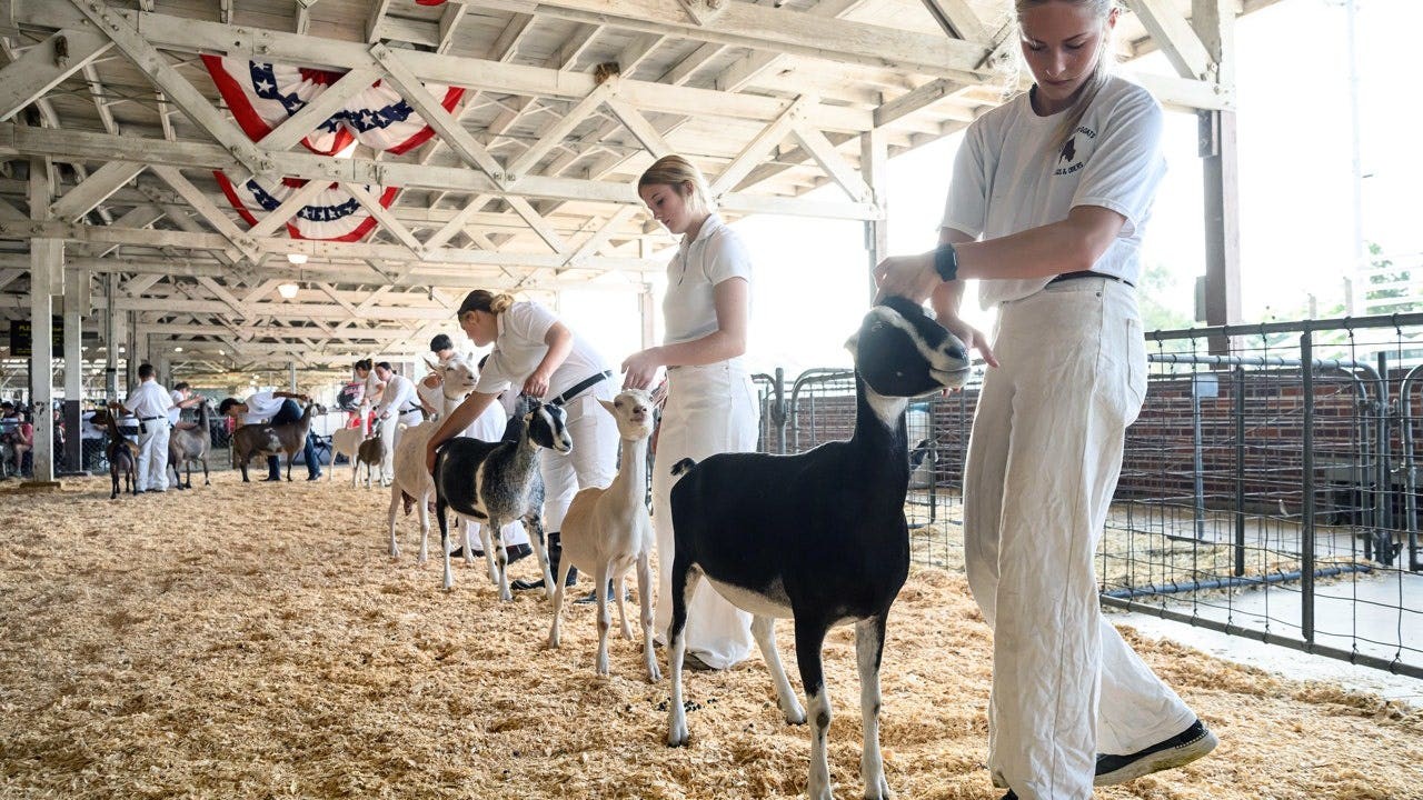 Petting zoo visitors warned after disturbing discovery involving baby goats