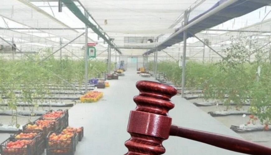 Azərbaycanda məşhur şirkət CƏRİMƏLƏNDİ