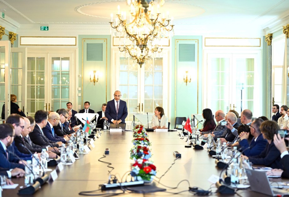 Minister of Economy: Azerbaijan's green energy potential creates new cooperation opportunities for Swiss companies