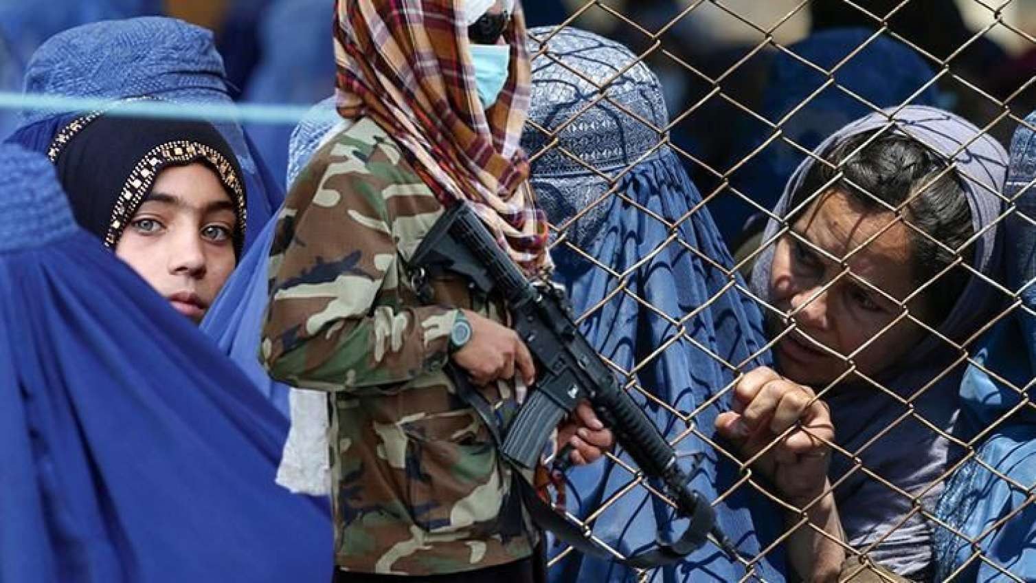Qalmaqallı AÇIQLAMA:   qadınların beyni yoxdur, axmaqdırlar