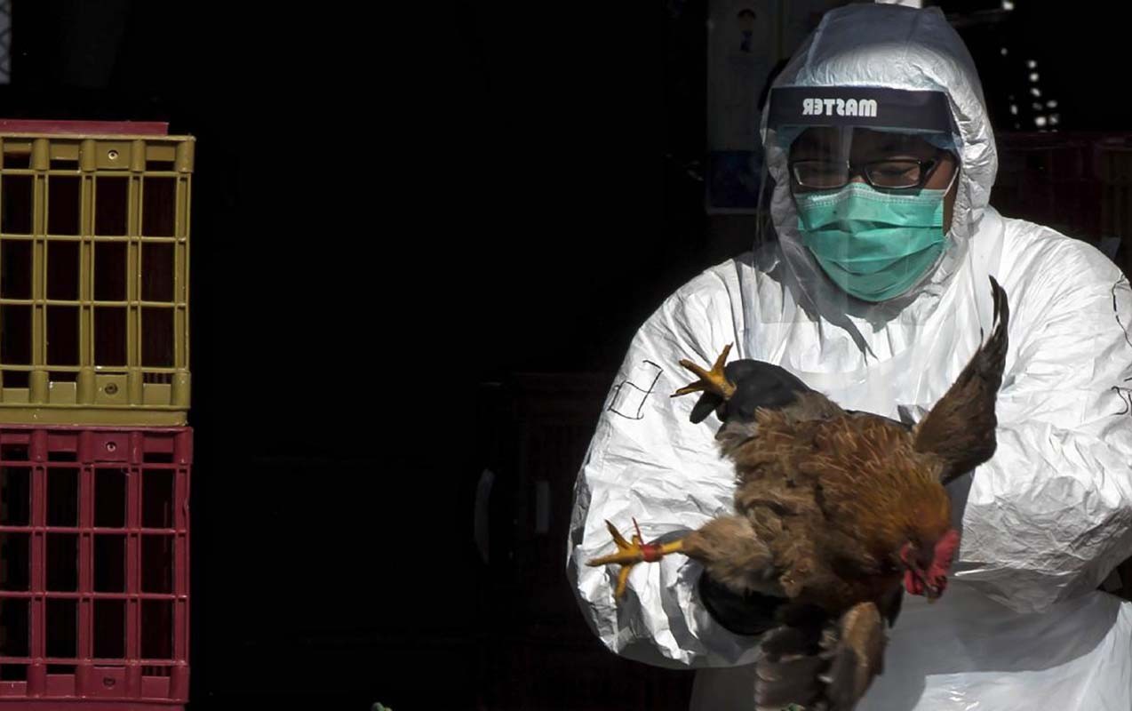 Niderlandda ümumölkə karantini tətbiq olundu - Daha bir epidemiya həyəcanı