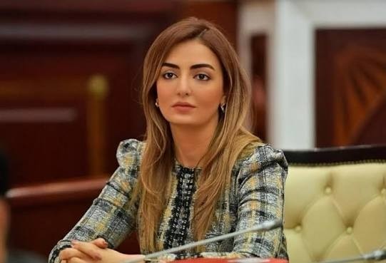 Niderlandın təşəkkürünün arxasındakı siyasi mesaj - Azərbaycan Avropa üçün niyə vacibdir?