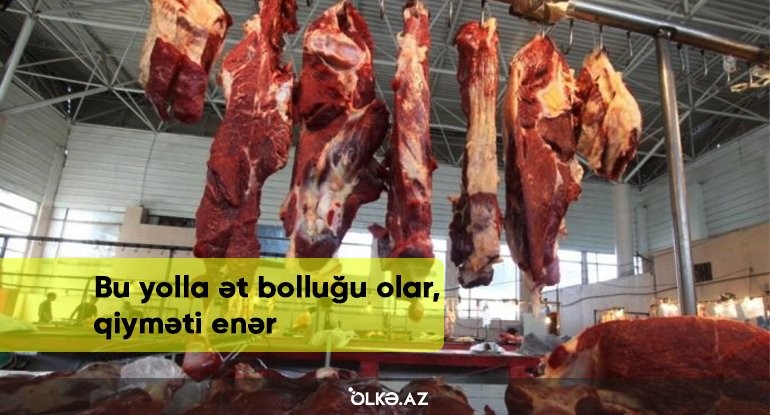 Bu yolla ət bolluğu olar, qiyməti enər - AÇIQLAMA