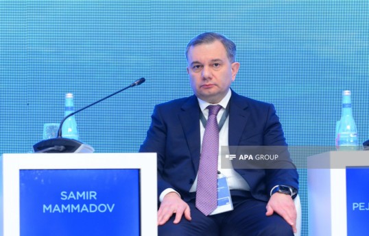 Nazir müavini: Kibertəhlükəsizliyin gücləndirilməsi üçün sistemli tədbirlər görülür
