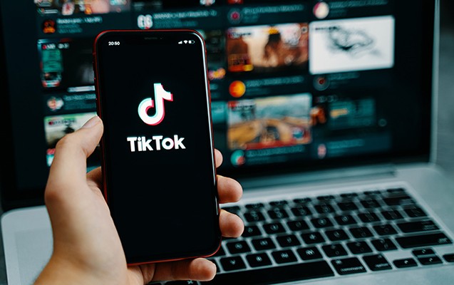 “TikTokda” təhqiramiz paylaşımlar edən şəxs həbs olunub
