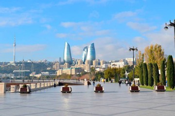 В Баку арестовали кактусового вандала - Видео