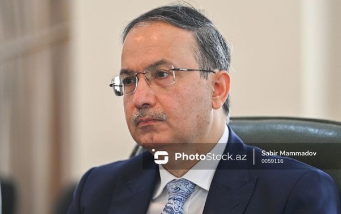 Посол: Пакистан намерен расширить экономическое сотрудничество с Азербайджаном