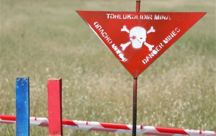В Джебраильском районе Азербайджана обнаружено около 30 мин