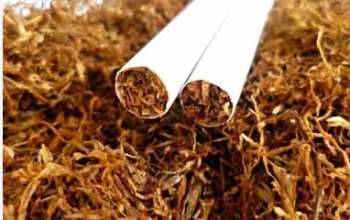 Контроль над табаком: поддержат ли новые правила здоровье потребителей?