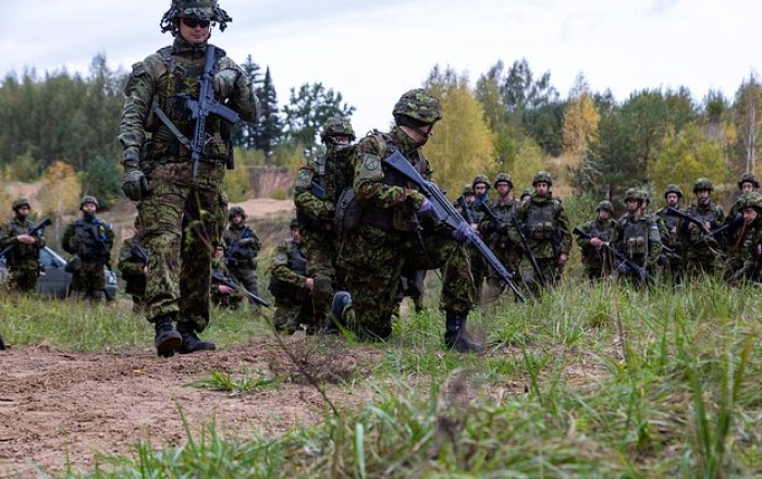 В Эстонии назвали условие для отправки военных на Украину